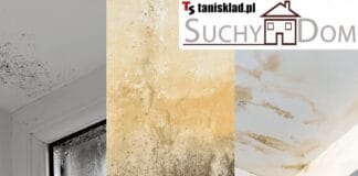 Wnikliwe spojrzenie na preparat Suchy Dom