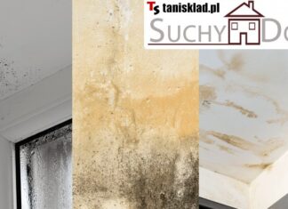 Wnikliwe spojrzenie na preparat Suchy Dom