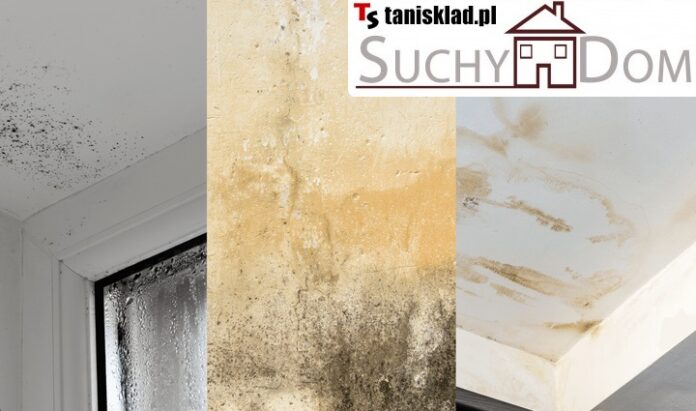 Wnikliwe spojrzenie na preparat Suchy Dom